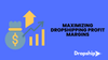 Maximizing Dropshipping Profit Margins